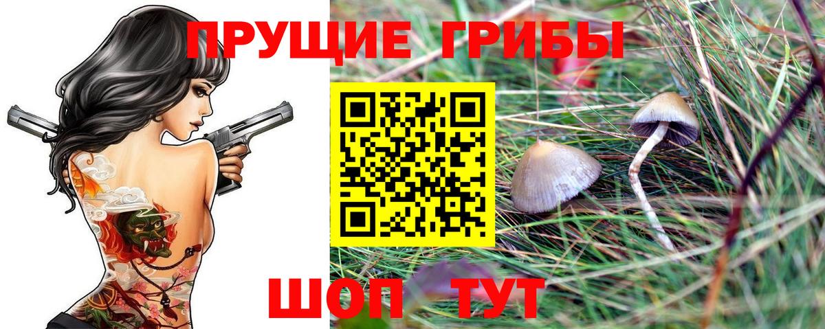Псилоцибиновые грибы Psilocybe Анапа